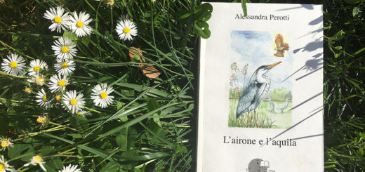 l'airone e l'aquila libro