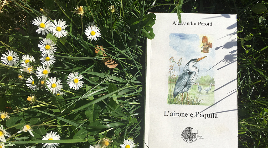 l'airone e l'aquila libro