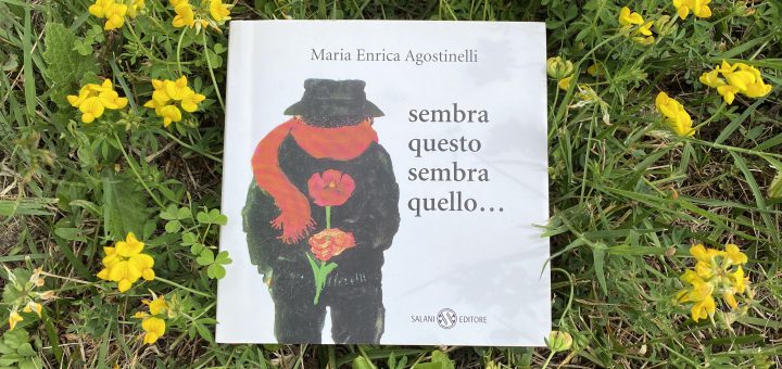 libro sembra questo sembra quello